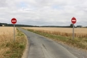 Le Gros Chêne